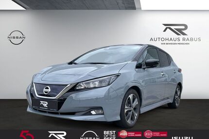 Nissan Leaf Gebrauchtwagen