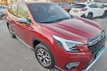 Subaru Forester Gebrauchtwagen