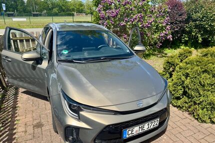 Suzuki Swace Gebrauchtwagen