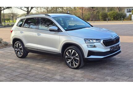 Skoda Karoq Gebrauchtwagen