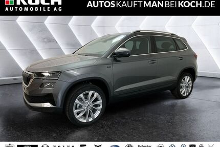 Skoda Karoq Gebrauchtwagen