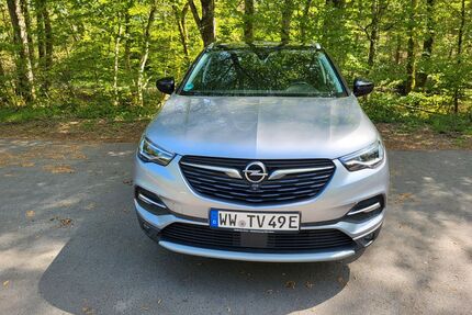 Opel Grandland (X) Gebrauchtwagen