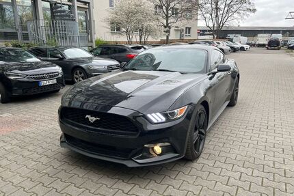 Jaguar Mustang 