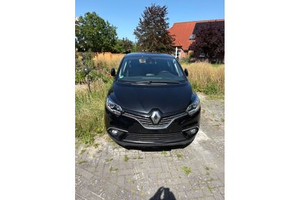 Renault Scenic Gebrauchtwagen
