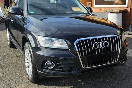 Audi Q5 Gebrauchtwagen