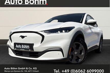 Ford Mustang Mach-E Gebrauchtwagen