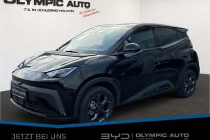 BYD DOLPHIN Gebrauchtwagen