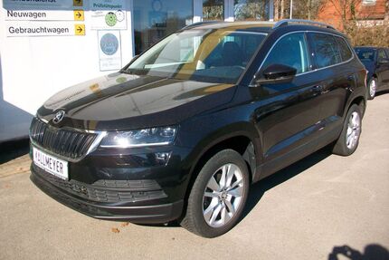 Skoda Karoq Gebrauchtwagen