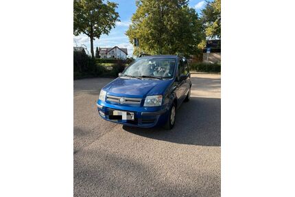 Fiat Panda Gebrauchtwagen