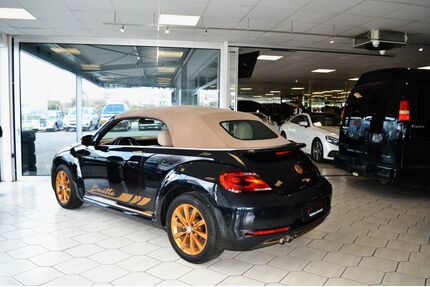 VW Beetle Gebrauchtwagen