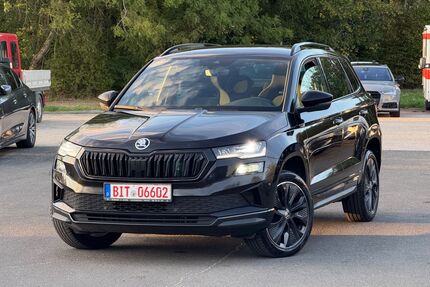 Skoda Karoq Gebrauchtwagen