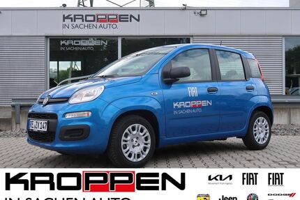 Fiat Panda Gebrauchtwagen