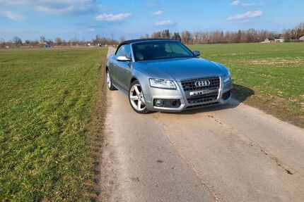 Audi A5 Gebrauchtwagen