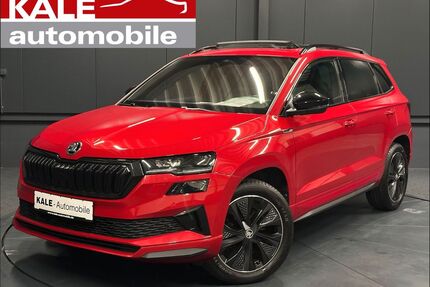 Skoda Karoq Gebrauchtwagen