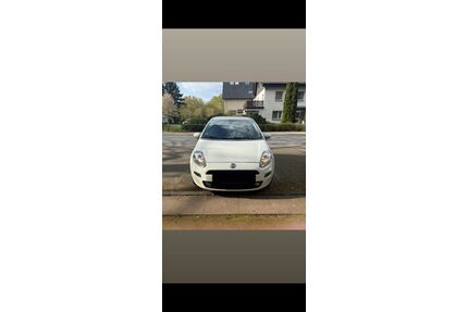 Fiat Punto Gebrauchtwagen