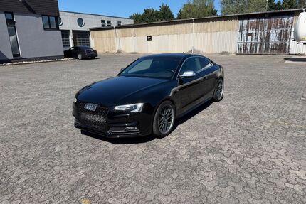 Audi S5 Gebrauchtwagen