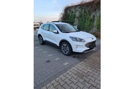 Ford Kuga Gebrauchtwagen