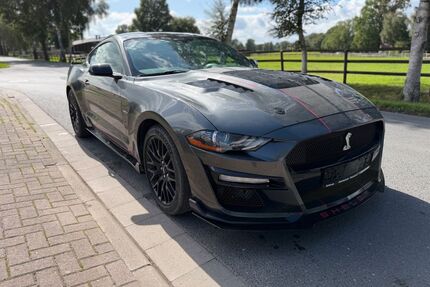 Ford Mustang Gebrauchtwagen
