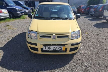 Fiat Panda Gebrauchtwagen