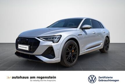 Audi e-tron Gebrauchtwagen