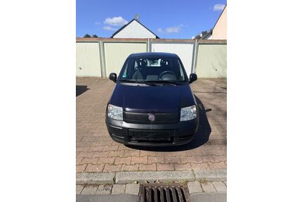 Fiat Panda Gebrauchtwagen