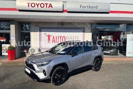 Toyota RAV 4 Gebrauchtwagen