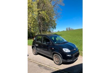 Fiat Panda Gebrauchtwagen