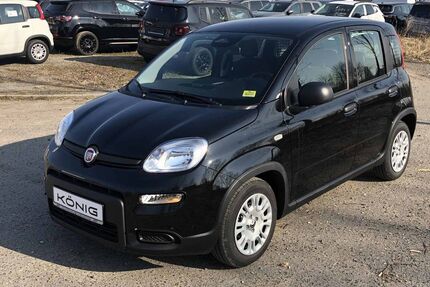 Fiat Panda Gebrauchtwagen