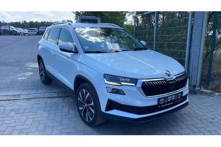 Skoda Karoq Gebrauchtwagen