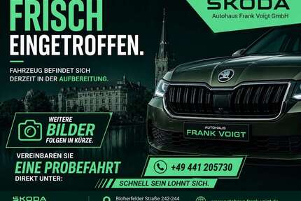 Skoda Karoq Gebrauchtwagen