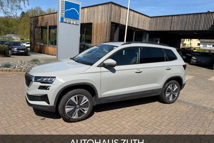 Skoda Karoq Gebrauchtwagen