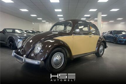VW Käfer Gebrauchtwagen