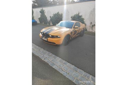 Ford Mustang Gebrauchtwagen