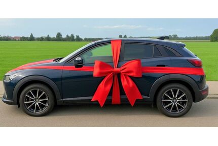 Mazda CX-3 Gebrauchtwagen