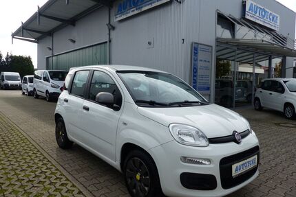 Fiat Panda Gebrauchtwagen