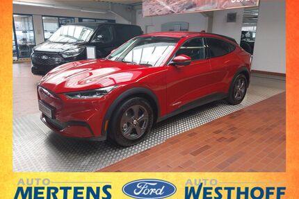 Ford Andere Gebrauchtwagen