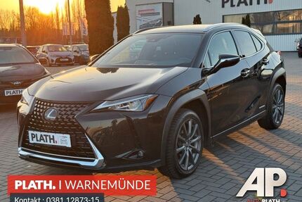 Lexus UX Gebrauchtwagen