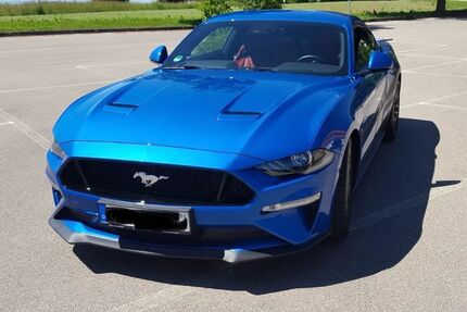 Ford Mustang Gebrauchtwagen