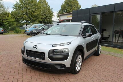 Citroen C4 Cactus Gebrauchtwagen