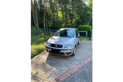 Fiat Punto Gebrauchtwagen