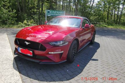 Ford Mustang Gebrauchtwagen