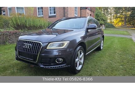 Audi Q5 Gebrauchtwagen