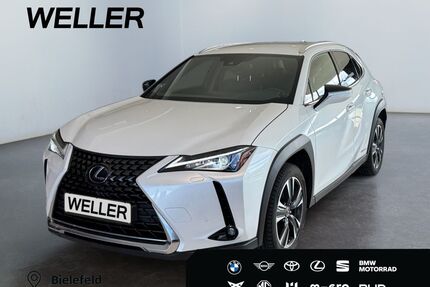 Lexus UX Gebrauchtwagen