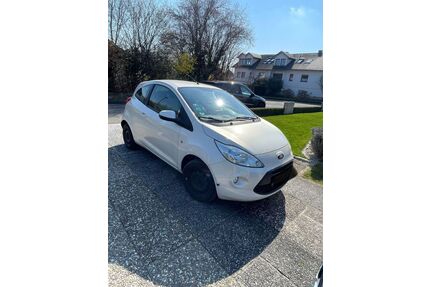 Ford Ka/Ka+ Gebrauchtwagen