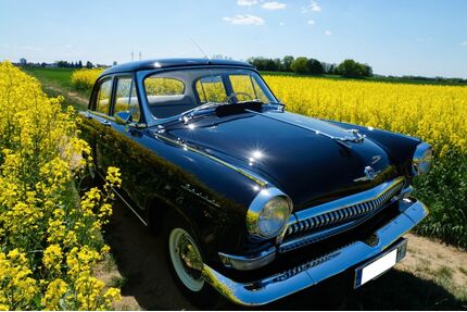  andere Andere Gebrauchtwagen