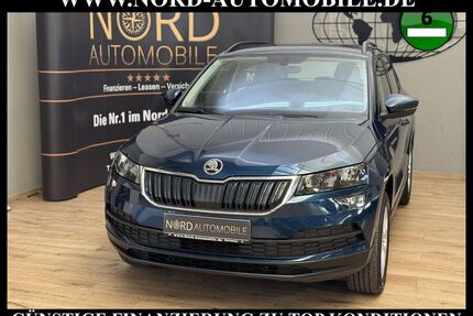 Skoda Karoq Gebrauchtwagen