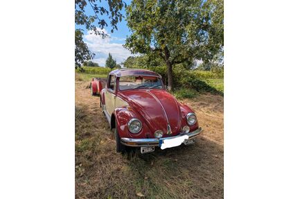 VW Käfer Gebrauchtwagen