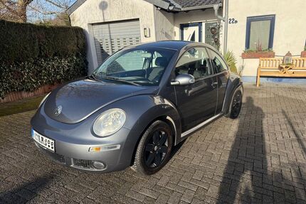 VW Beetle Gebrauchtwagen