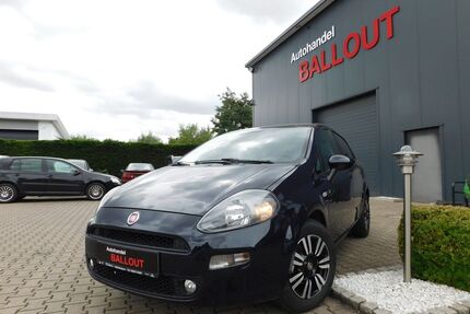 Fiat Punto Gebrauchtwagen
