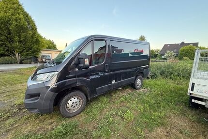 Fiat Ducato Gebrauchtwagen